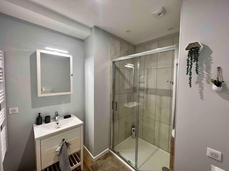 Appartement Climatise / Centre-Ville / 4 Personnes 贝桑松 外观 照片